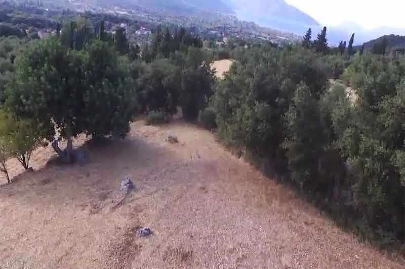 agrotemaxio-2725-me thea thalassa